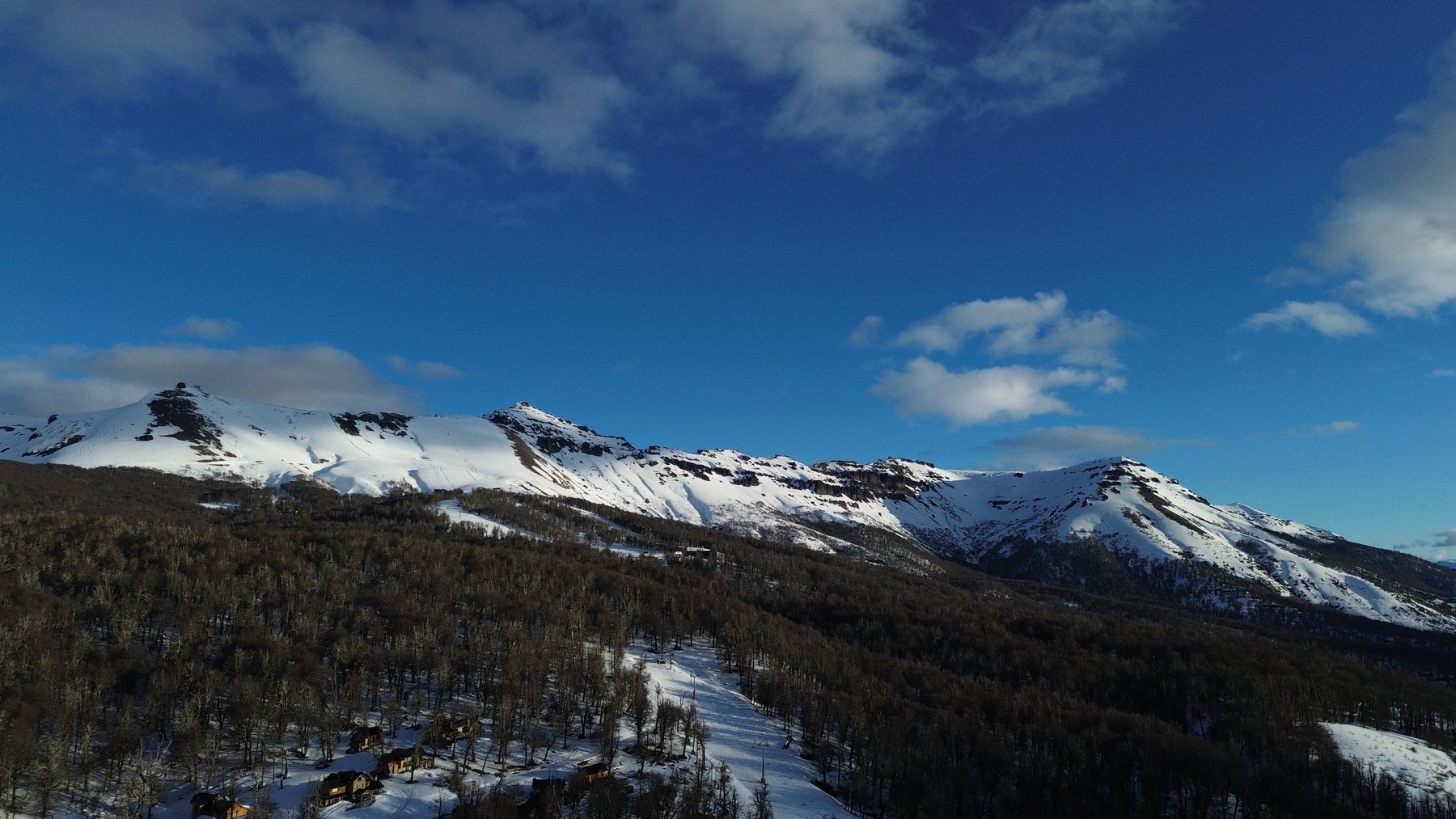 Panorámica del cordón del Cerro Chapelco sobre el bosque de Las Pendientes