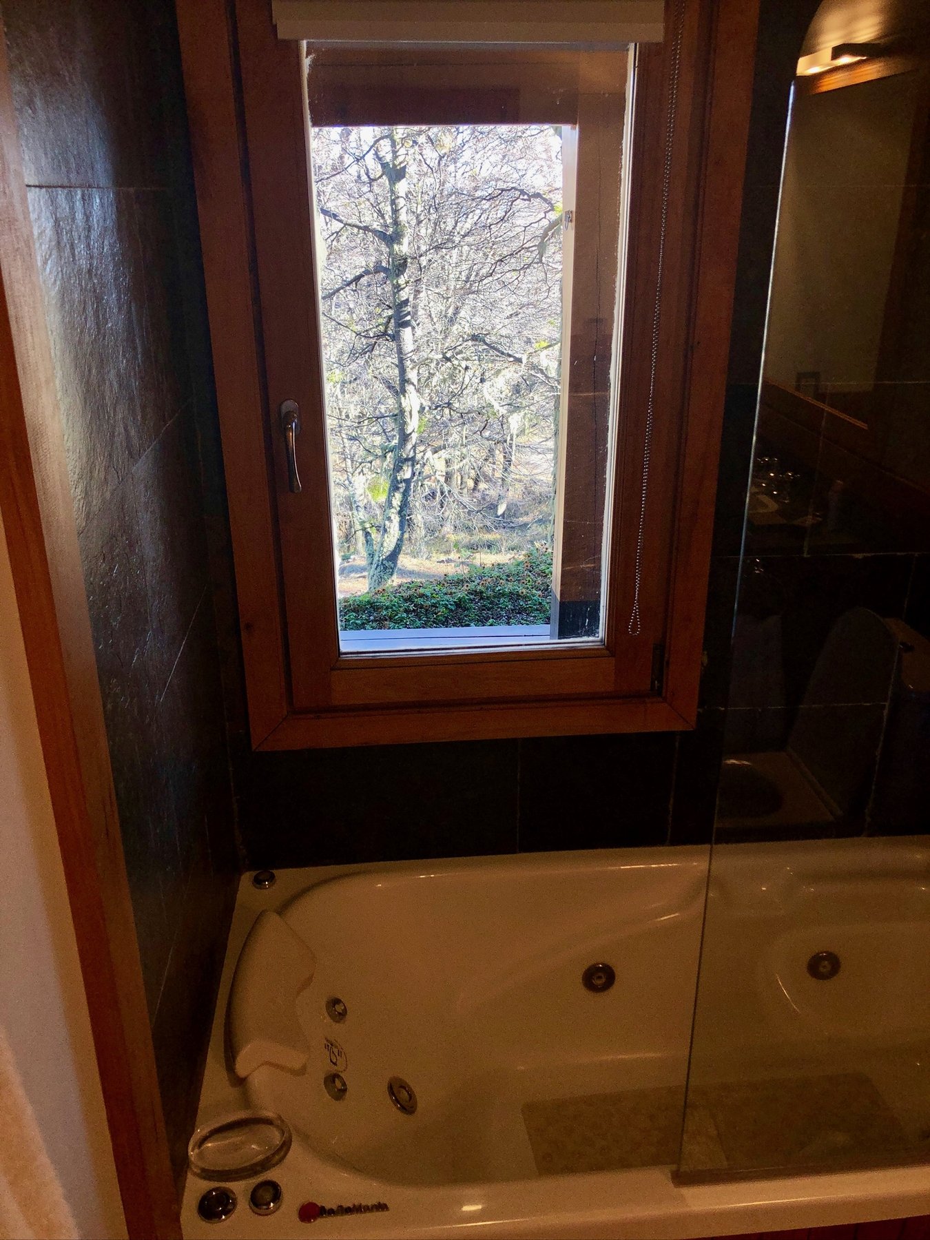 La bañera con hidromasaje del baño en suite, con su ventana al bosque