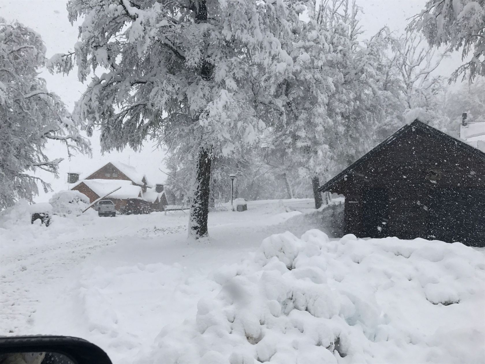 El barrio amaneciendo tapado de nieve, desde el auto