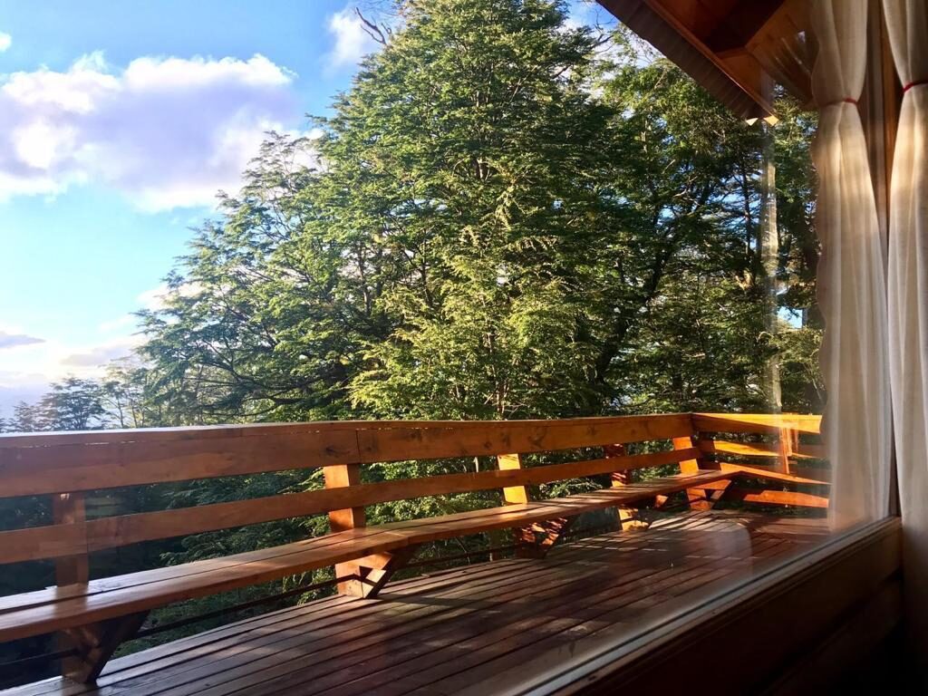 Deck de madera con bancos y el bosque en verano