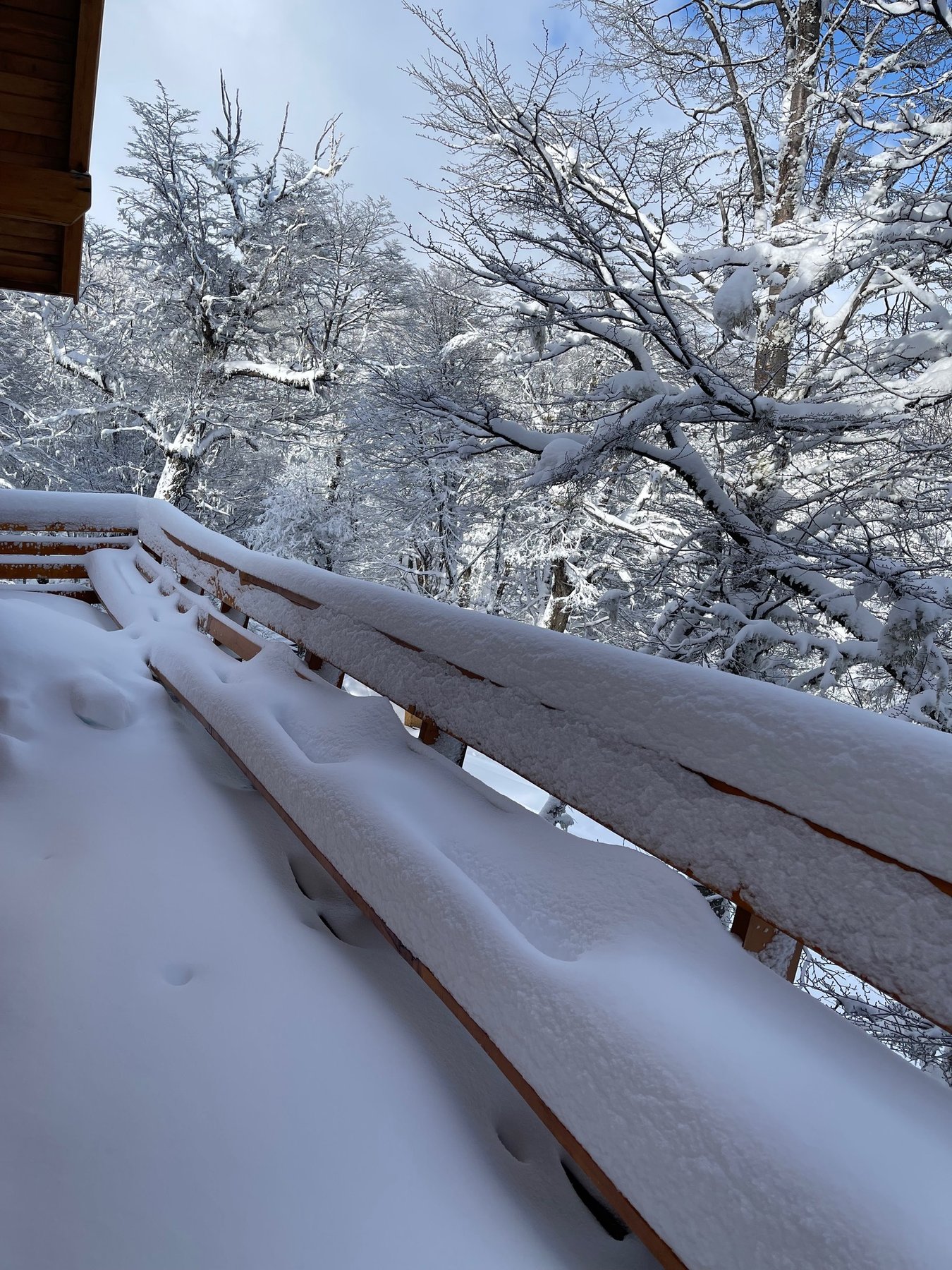 Los bancos del deck cubiertos por la nevada