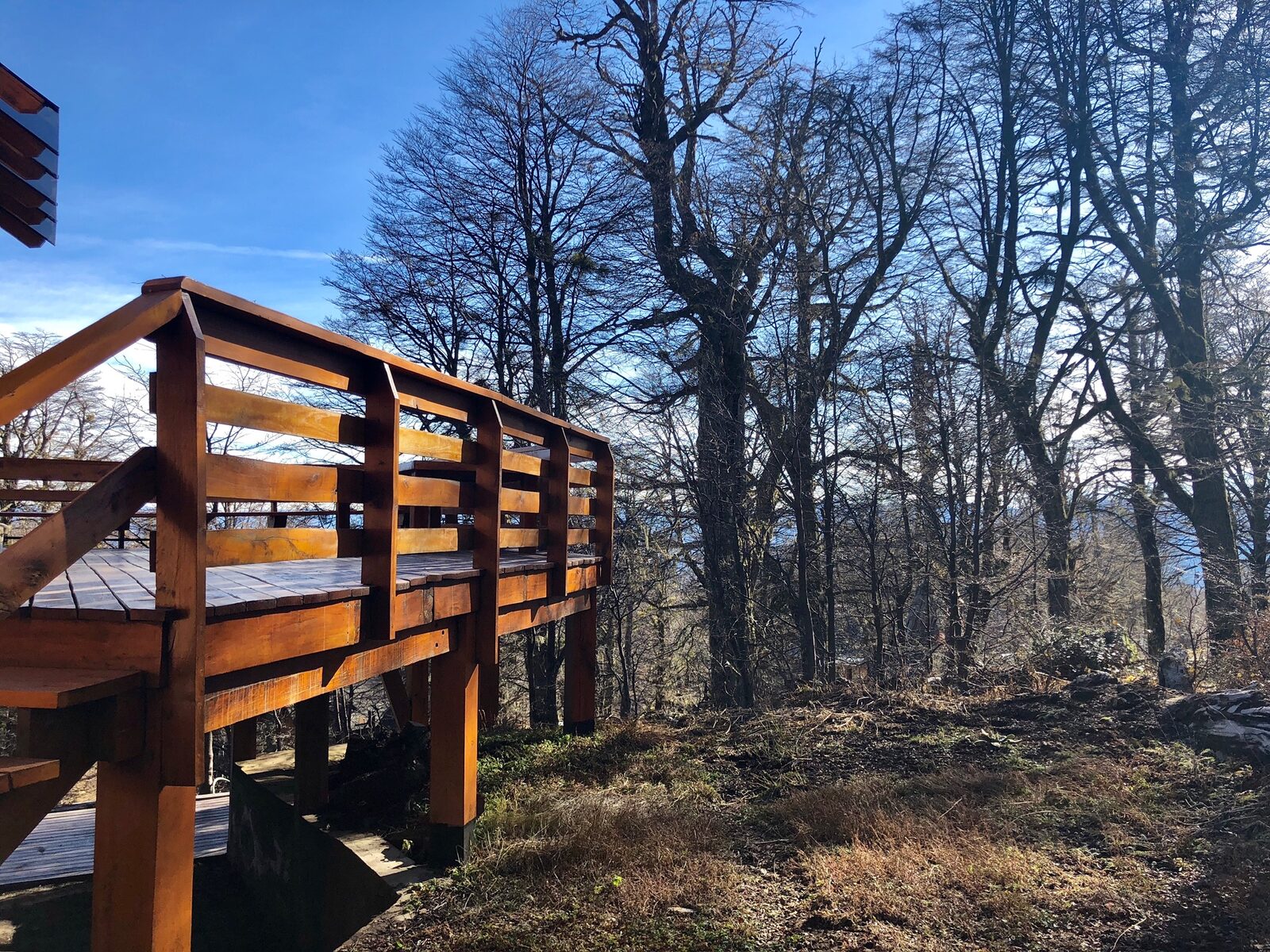 El deck en otoño con el bosque de fondo