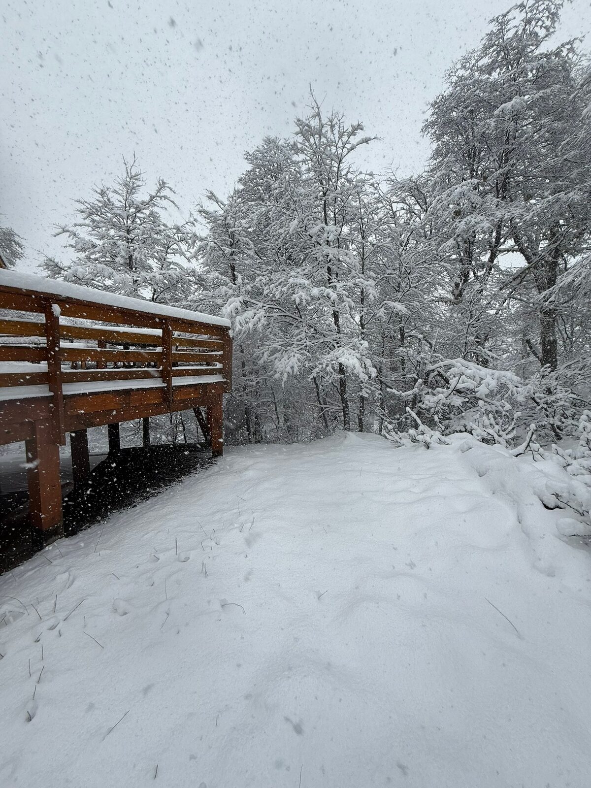 El deck rodeado del bosque nevado