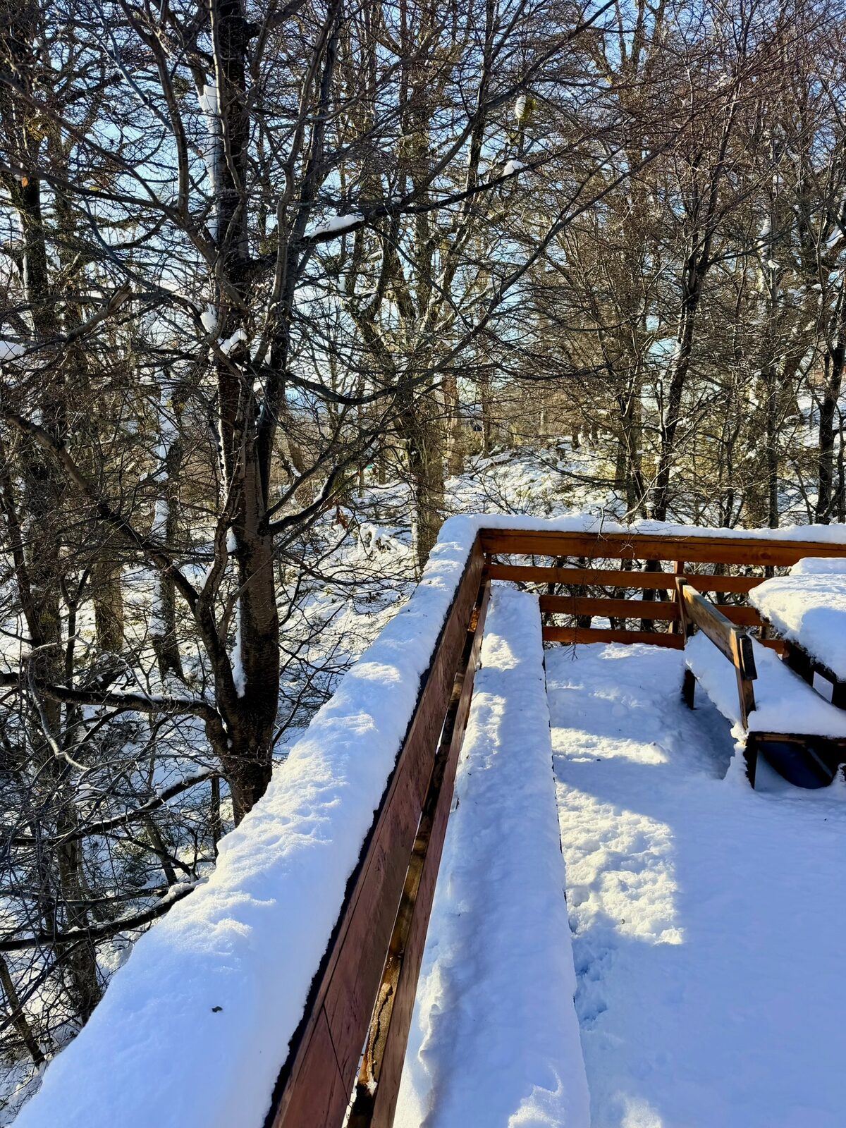 Rincón del deck con nieve y vista al bosque