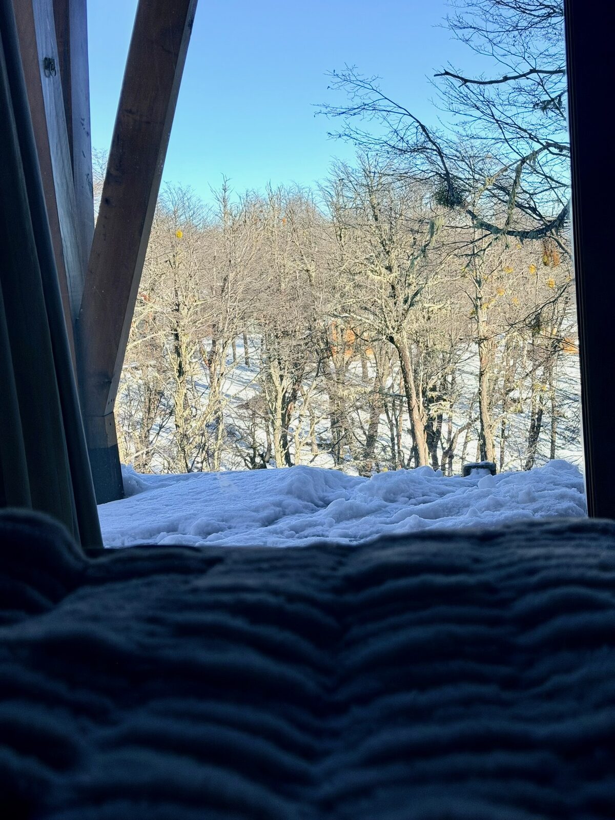 Vista al bosque nevado desde la cama del dormitorio principal
