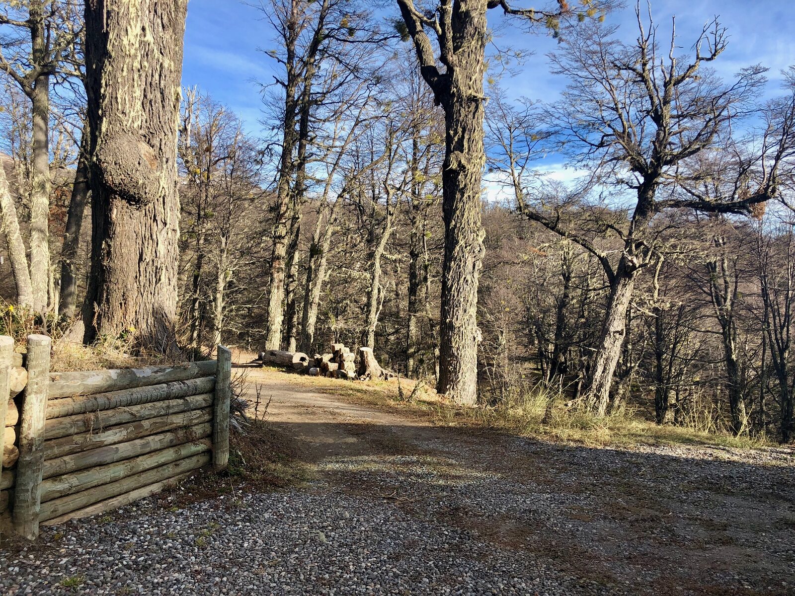 La entrada de la propiedad en otoño