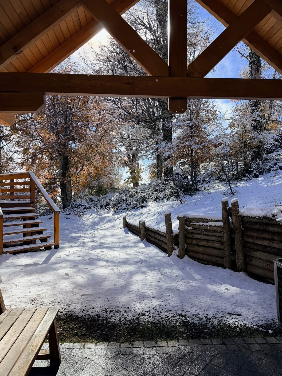 Vista al bosque nevado desde el acceso cubierto