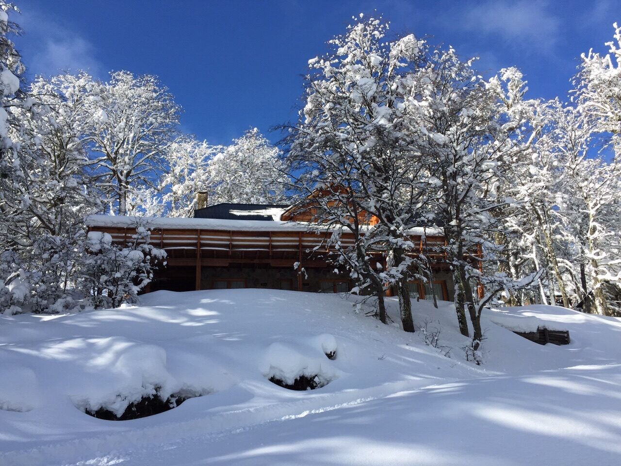 La cabaña entre árboles nevados bajo el cielo azul