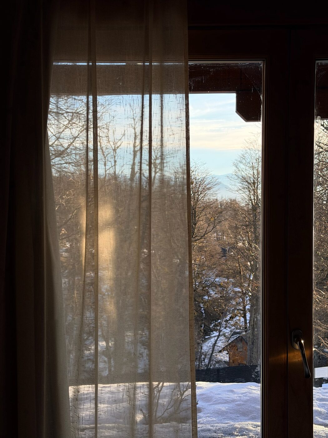 Vista al bosque nevado y las montañas desde la habitación 1