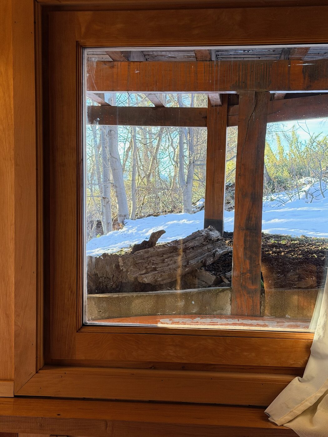 Ventana de la habitación 2 con vista al bosque nevado